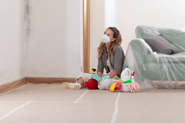 Trusted Attic Mold Removal service in Patton, PA - WQB Mold Removal